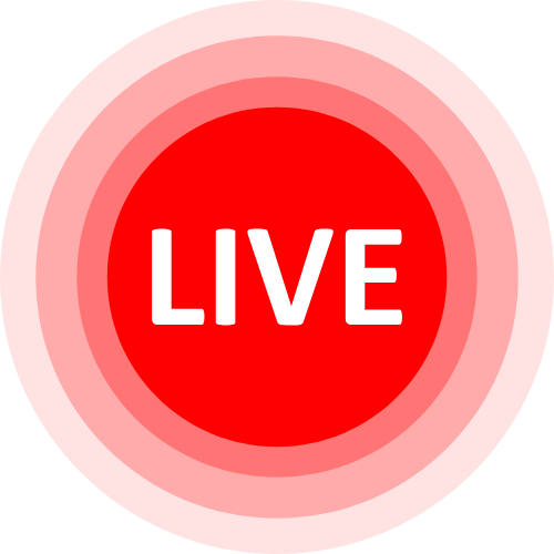 Adult Webcam Show